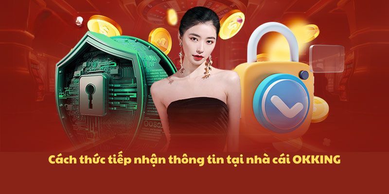 Cách thức tiếp nhận thông tin tại nhà cái OKKING