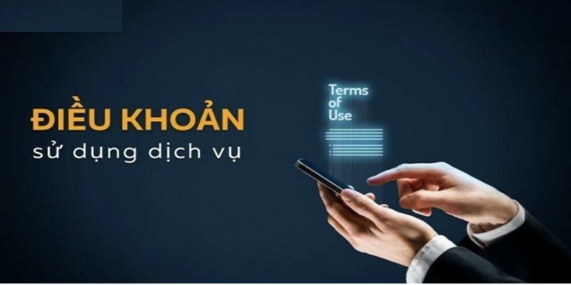 Nên đọc kỹ điều kiện và điều khoản trước khi tham gia cá cược.