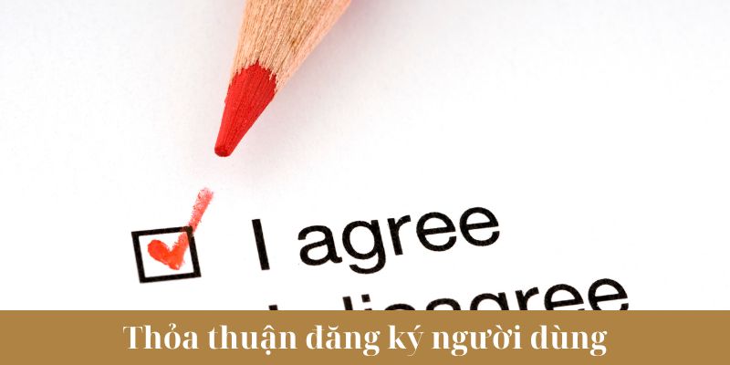 Thỏa thuận về Đăng ký OKKING của người dùng