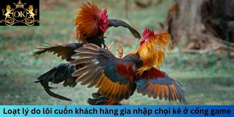 Loạt lý do lôi cuốn khách hàng gia nhập chọi kê ở cổng game