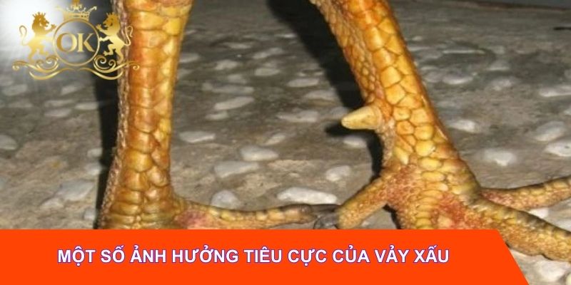 Một số ảnh hưởng tiêu cực của vảy xấu